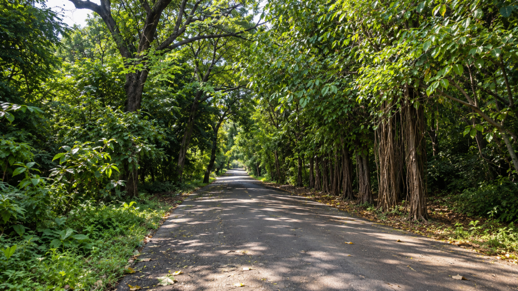 Green public landscape in Mumbai suitable for a quiet outdoor outing