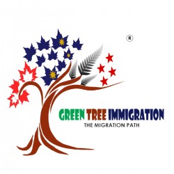 GreenTree Immigration